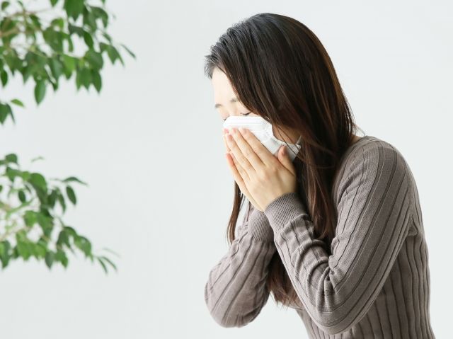 大阪市の菊守耳鼻咽喉科はレーザー治療に対応！アレルギー性鼻炎の症状に悩むイメージ - 【大阪市】菊守耳鼻咽喉科