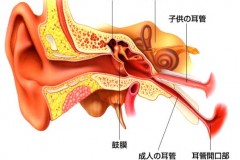 （社）松阪地区医師会