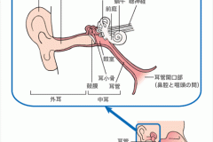 アステラス製薬 なるほど病気ガイド耳の構造