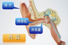 ～耳の情報サイトより～