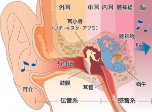 ～リオネットより～