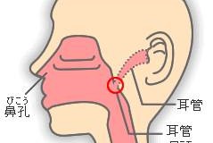 鼻 を かんだ ら 耳 が 詰まっ た