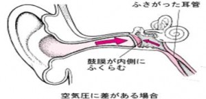 メルクマニュアル医学百科