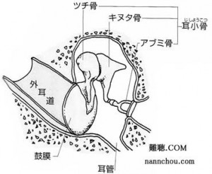 ～難聴.comより～