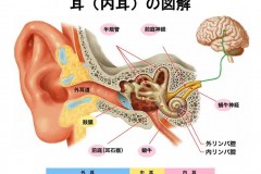 ～めまいのQ＆Aより～