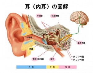 ～めまいのQ＆Aより～